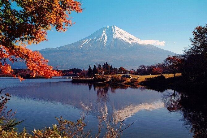Hakone 6 hour Private Tour with Government-Licensed Guide - What Sets It Apart from Other Tours?