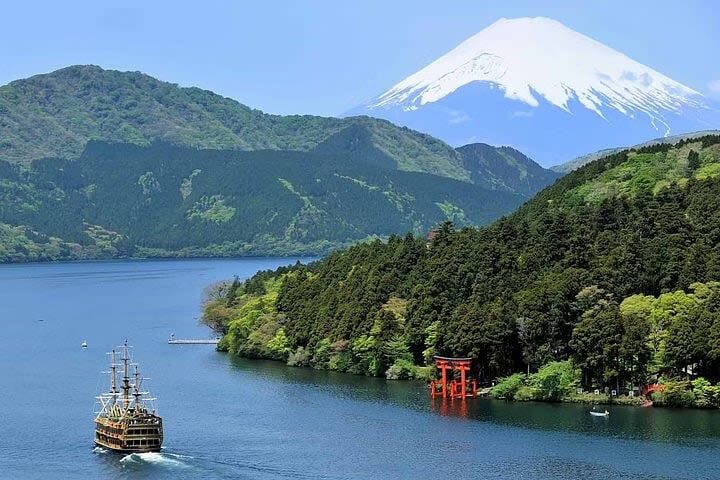 Hakone 6hr Private Tour with Government-Licensed Guide - Getting around without a private vehicle