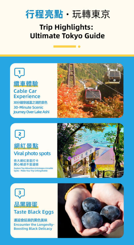 Hakone Ashinoko Lake Water Torii & Hakone Pirate Ship & Hakone Ropeway & Kamakura Enoshima Day Trip (From Tokyo) - Ropeway views above Hakone
