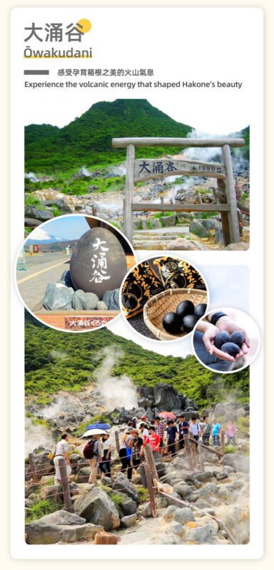 Hakone Ashinoko Lake Water Torii & Hakone Pirate Ship & Hakone Ropeway & Kamakura Enoshima Day Trip (From Tokyo) - Is the price good value?