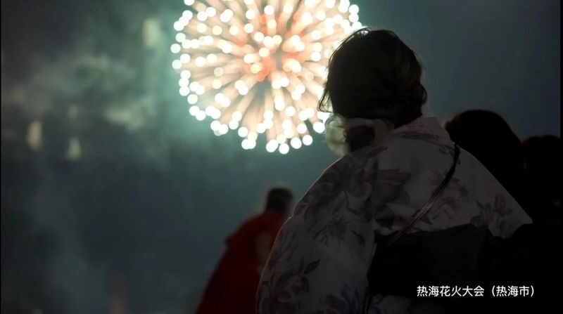 Hakone & Atami Fireworks Day Trip: Mt. Fuji Hakone Shrine & Floating Torii Gate & Lake Ashi Lakeside Stroll & Atami Sun Beach & Atami Fireworks Festival (From Tokyo) - What the guide and bus add