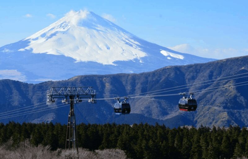 Hakone: Customizable Full Day Tour with Private Transfer - Who Would Love This Tour?