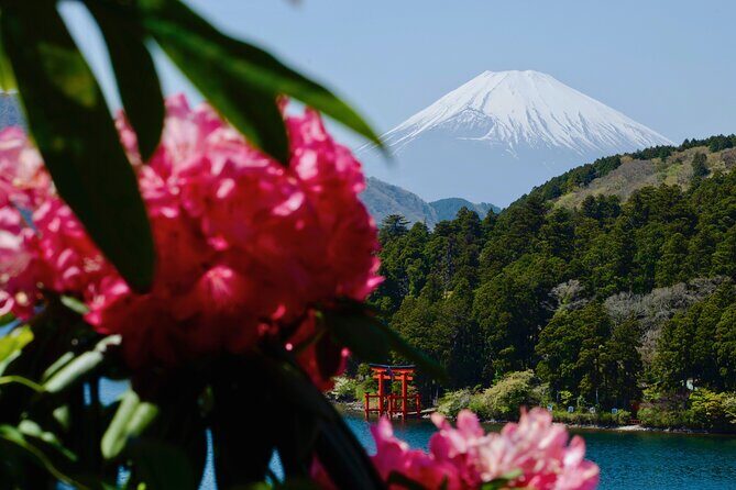 Hakone: Enchanting Fujisan - Exploring Hakone: A Closer Look at the Itinerary