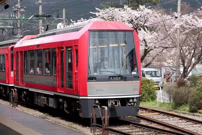 Hakone Free Pass, 2-3 Days Travel Voucher Japan - A detailed look at what this pass offers