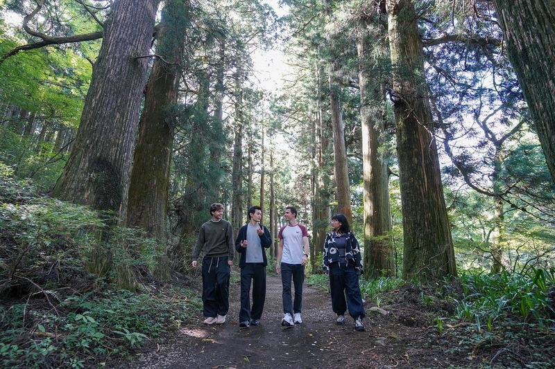 Hakone Full Day Chartered Private Tour: Art & Nature - Local lunch before the Lake Ashi crossing