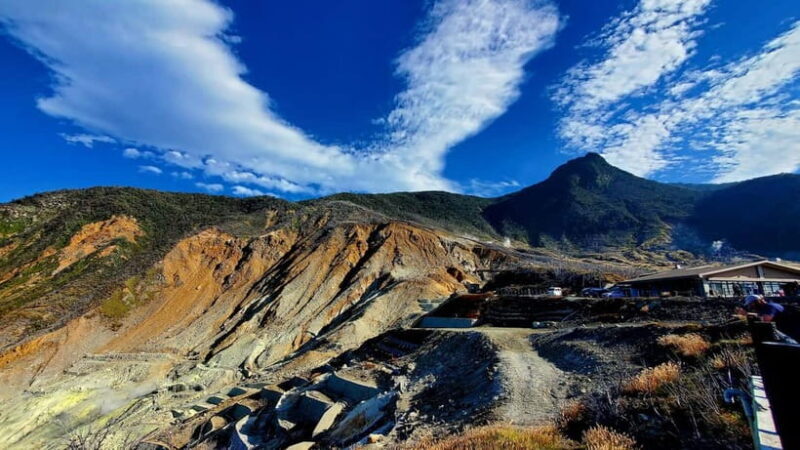 Hakone Full-Day Private Tour from Tokyo (Customizable) - Key Points