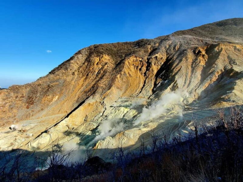 Hakone Full-Day Private Tour from Tokyo (Customizable) - Who Will Enjoy This Tour?