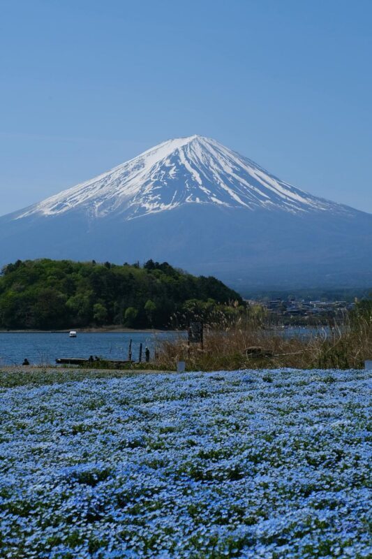 Hakone & Gotemba Premium Outlets One-Day Tour - Owakudani and the Hakone portion