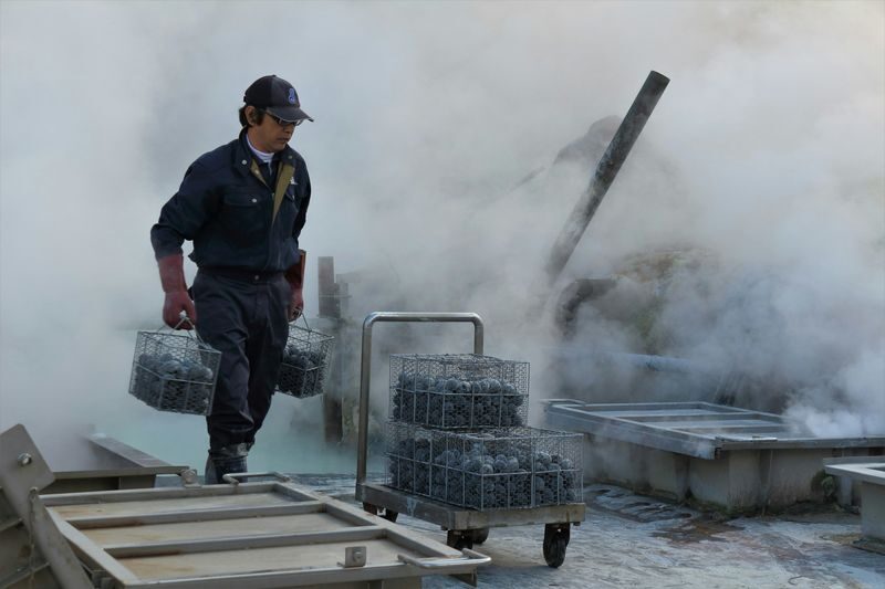 Hakone & Gotemba Premium Outlets One-Day Tour - Booking and planning the day
