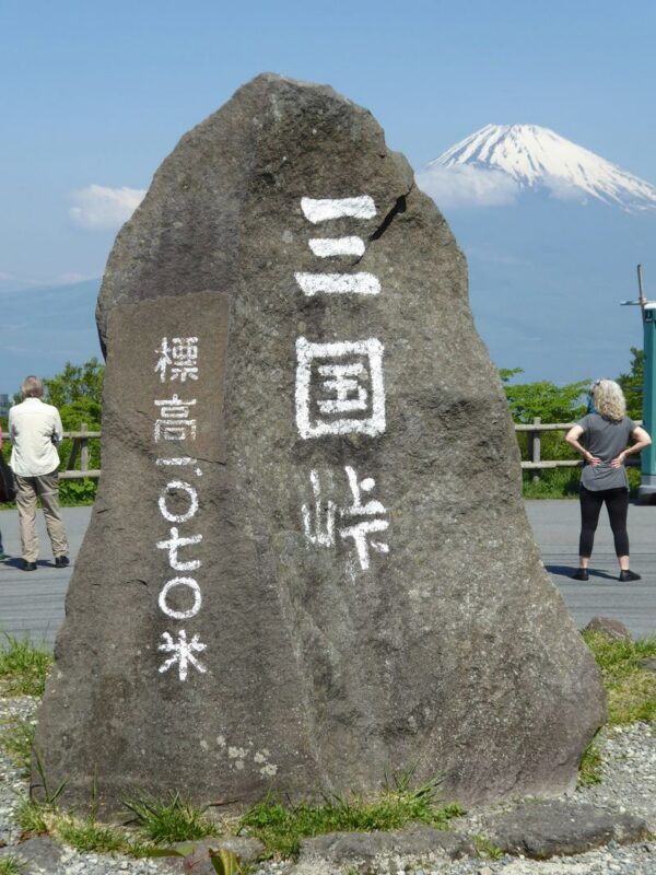 Hakone & Gotemba Premium Outlets One-Day Tour - Who should book this tour?