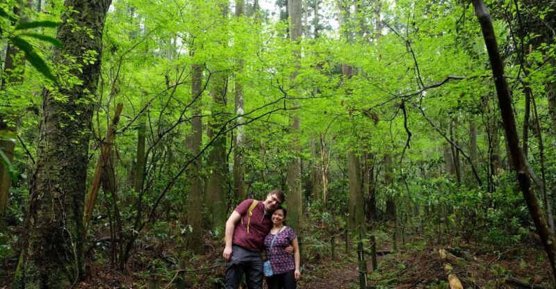 Hakone Hachiri: Old Tokaido Highway Hiking Half-day tour - Who Will Enjoy This Tour?