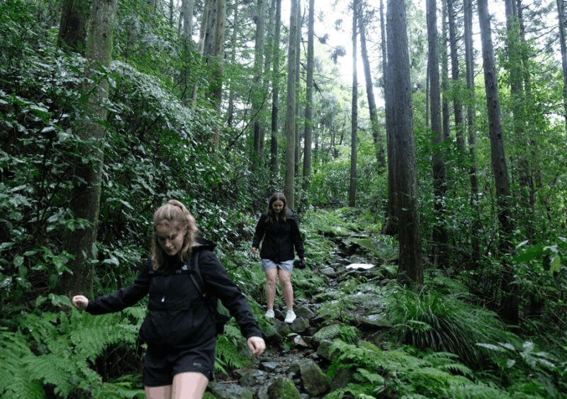 Hakone Hachiri: Old Tokaido Highway Hiking Half-day tour - FAQ