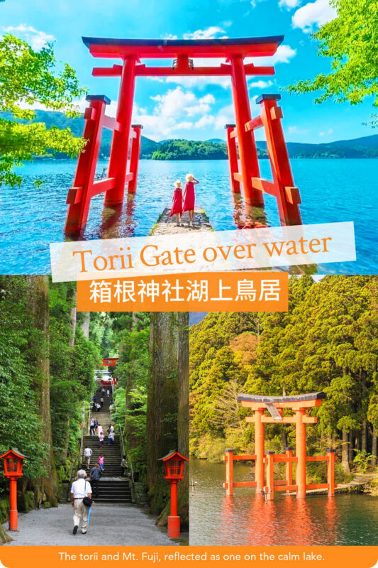 Hakone & Kamakura Mountain and Sea Tour: Hakone Owakudani & Pirate Ship & Aerial Cable Car & Enoshima Day Trip - What the guide adds, and what the schedule cannot promise