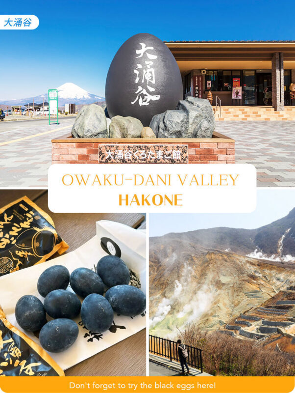 Hakone & Kamakura Mountain and Sea Tour: Hakone Owakudani & Pirate Ship & Aerial Cable Car & Enoshima Day Trip - Practical details before you book