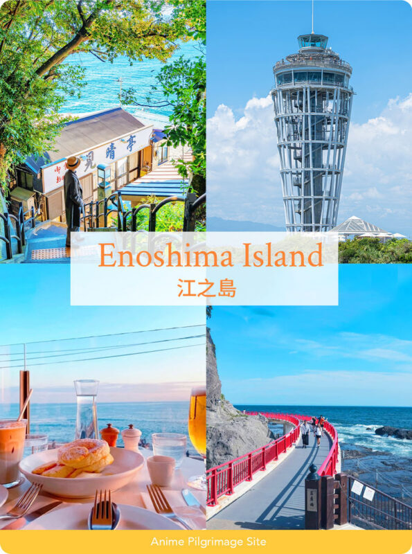 Hakone & Kamakura Mountain and Sea Tour: Hakone Owakudani & Pirate Ship & Aerial Cable Car & Enoshima Day Trip - Should you book this Hakone and Enoshima day trip?