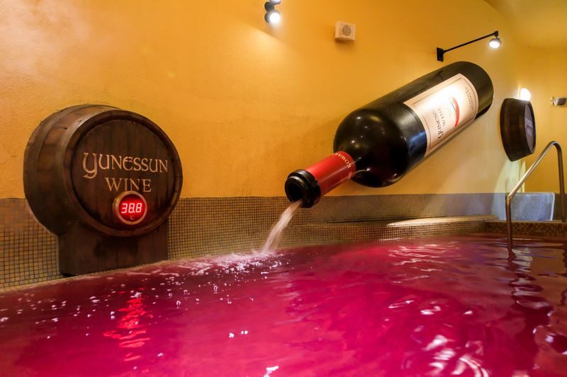 Hakone Kowaki-en Yunessun Hot Spring Theme Park Ticket - Save time for Mori no Yu’s open-air baths