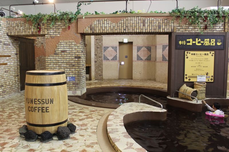 Hakone Kowaki-en Yunessun Hot Spring Theme Park Ticket - Plan the visit around Hakone travel time