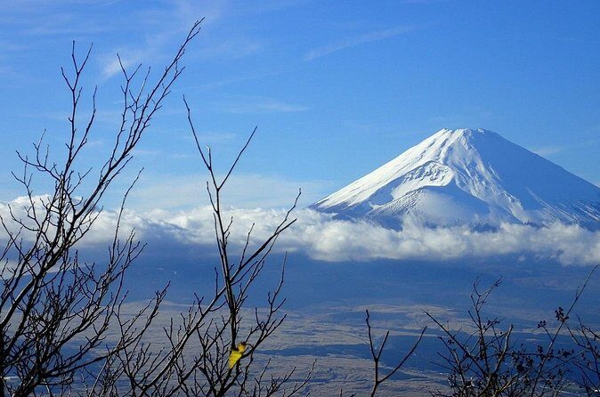 Hakone Luxury Exclusive Tour Full Day with Chauffeured Vehicle - FAQs