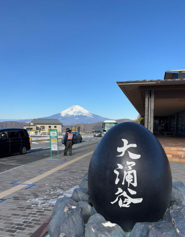 Hakone & Mount Fuji Area Day Trip: Owakudani Ropeway & Hakone Shrine & Nichikawa Clock Shop & Arakurayama Sengen Park, Departing from Tokyo - How to prepare for the day