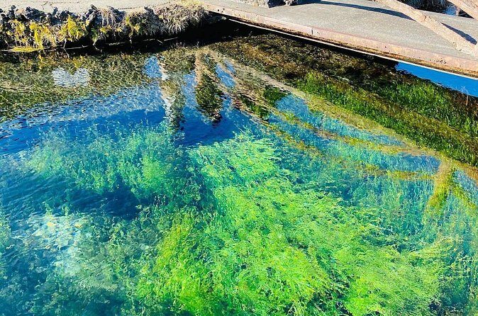 Hakone & Mount Fuji Day Trip:Lake Ashi Torii Gate & Oshino Hakkai - Final Thoughts