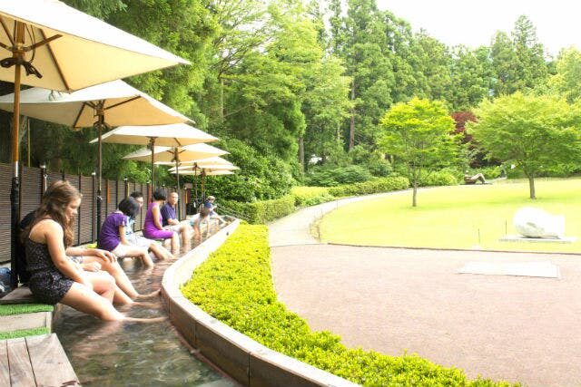 Hakone Open-Air Museum Ticket - Is the ticket good value?
