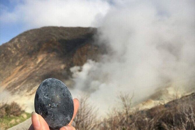 Hakone-Owakudani and Lake Ashi Guided Tour - Experience the Dramatic Landscapes of Hakone with a Private Guided Tour