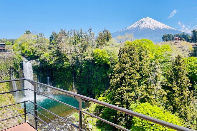 Hakone Private Car Sightseeing Tour - Who Would Love This Tour?