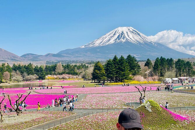Hakone Private Car Sightseeing Tour - FAQs About the Hakone Private Car Sightseeing Tour