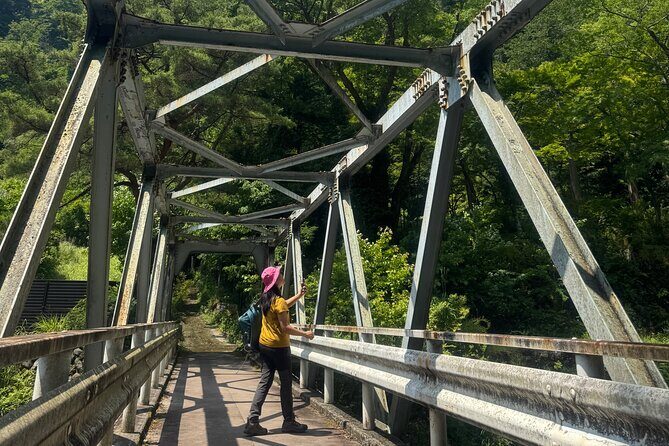 Hakone Valley Hike, Forest Bathing and Wagashi shop (Half-day) - Key Points