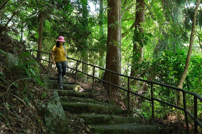 Hakone Valley Hike, Forest Bathing and Wagashi shop (Half-day) - Who Will Love This Tour?
