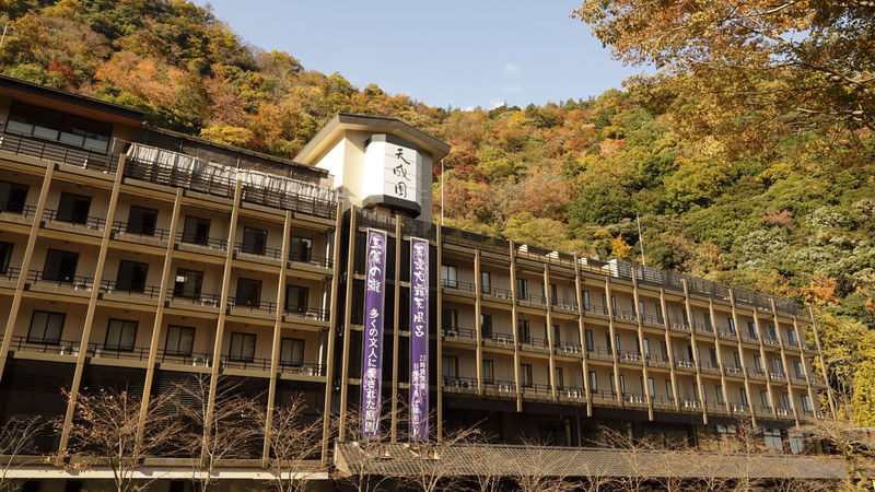 Hakone Yumoto Onsen Tenseien Admission Ticket (Hakone) - The garden is part of the visit