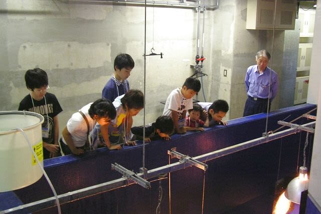 Hakoneen Aquarium Admission Ticket in Hakone - Fitting the aquarium into a Hakone day