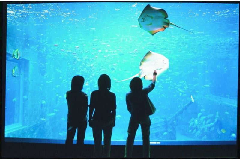 Hakoneen Aquarium Admission Ticket in Hakone - Who should book Hakone-en Aquarium?