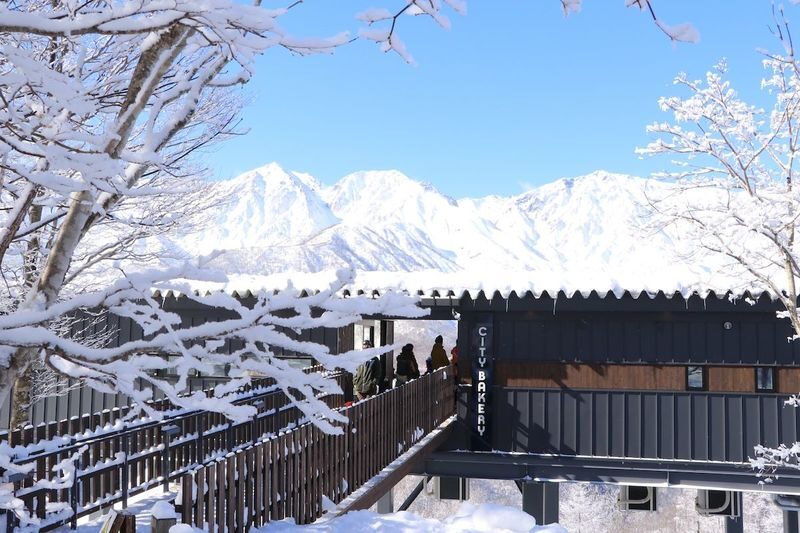 Hakuba Iwatake Lift Ticket with Ski/Snowboard Rental - Choosing a Package That Fits Your Kit