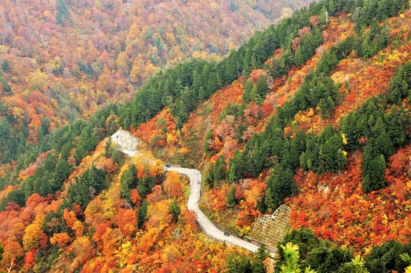 Hakusan Shirakawa-go White Road & Shirakawago One-day UNESCO site & Autumn Tour - At a glance