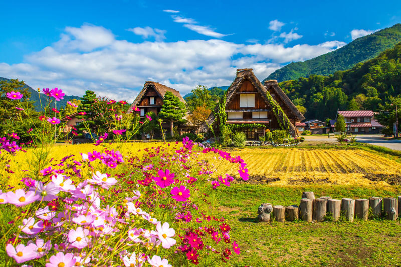Hakusan Shirakawa-go White Road & Shirakawago One-day UNESCO site & Autumn Tour - From Kanazawa to the White Road