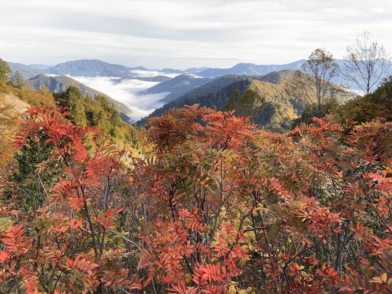 Hakusan Shirakawa-go White Road & Shirakawago One-day UNESCO site & Autumn Tour - Shirakawago: time at a UNESCO site