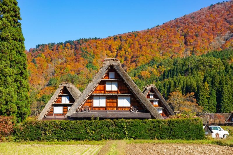 Hakusan Shirakawa-go White Road & Shirakawago One-day UNESCO site & Autumn Tour - What the guide and schedule add