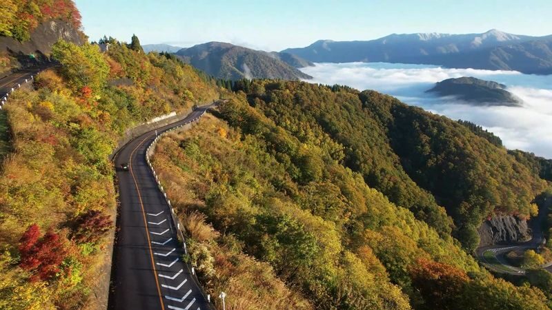 Hakusan Shirakawa-go White Road & Shirakawago One-day UNESCO site & Autumn Tour - Is $107.20 a fair price?
