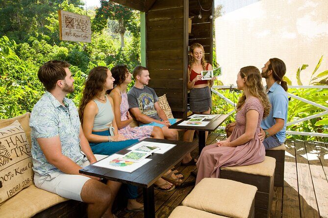Hala Tree Coffee Farm Tour - Exploring the Hala Tree Coffee Farm Experience