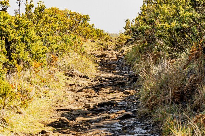 Haleakala Crater Hiking Experience - FAQ