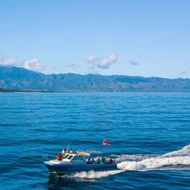 Haleiwa: North Shore Whale Watching Tour by Catamaran - The Sum Up: Who Will Love This Tour?