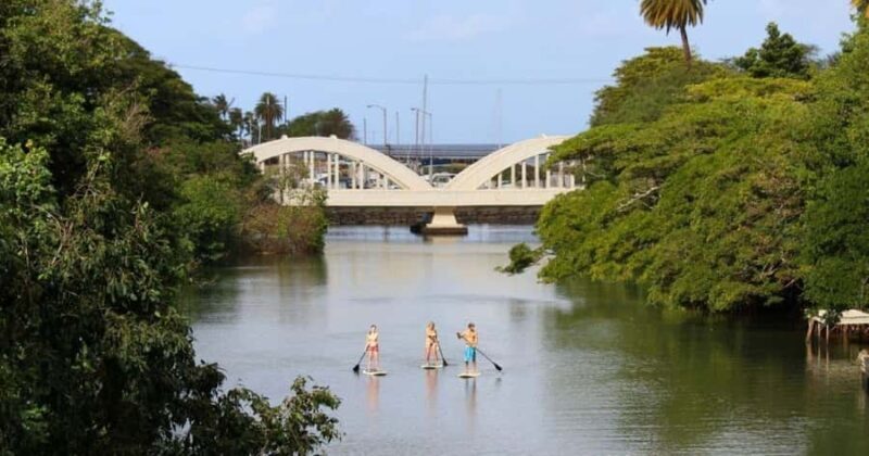 Haleiwa: Stand-Up Paddleboard Rental With Delivery & Pick Up - A Practical Look at the Experience