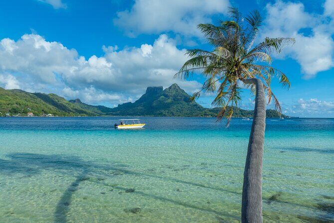 Half a day to discover Bora Bora with O-sea - Discover Bora Bora with O-sea: An Authentic Half-Day Adventure
