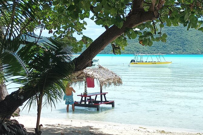 Half a day to discover Bora Bora with O-sea - In The Sum Up