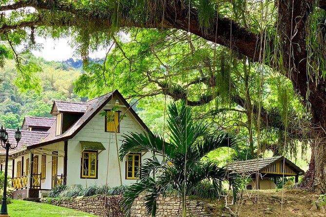 Half-day 3-Course Cocoa Lunch Tour in Trinidad - Detailed Review of the Half-day Cocoa Lunch Tour