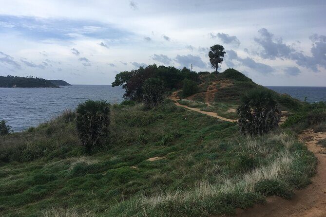 Half Day 3 Khai Island Tour Snorkeling Swimming Adventure Phuket - Final Thoughts