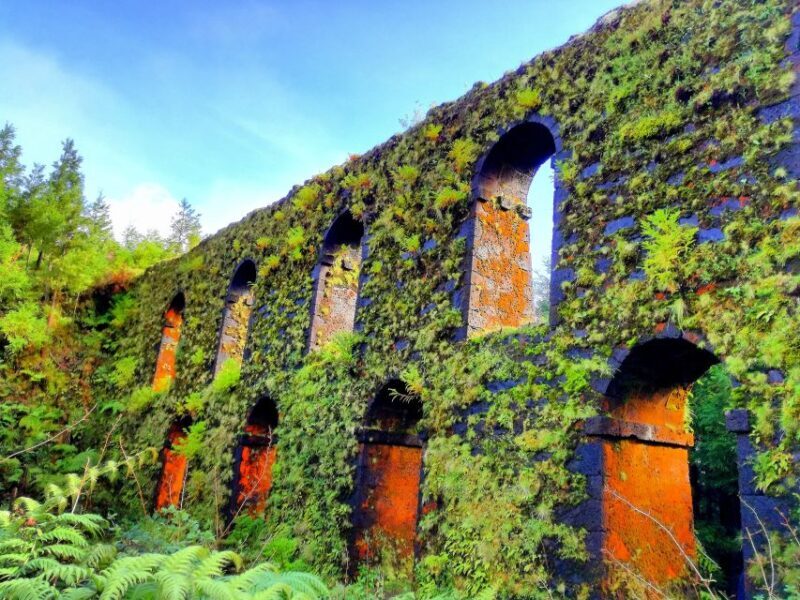 Half-Day 4X4 Tour Sete Cidades. Off the beaten Track. - Who Should Consider This Tour?