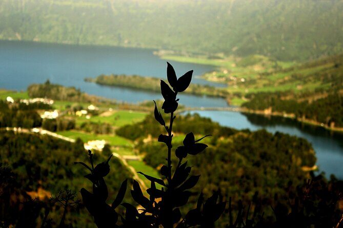 Half-Day 4x4 Tour to Lagoa das Sete Cidades - Flexibility and Customization