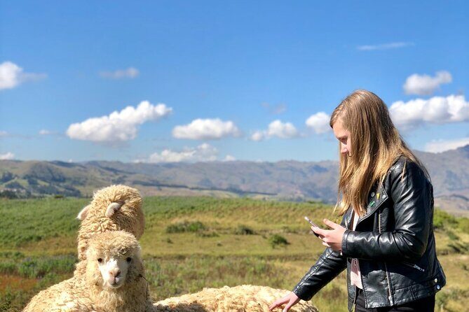 Half day Acclimatization Hike with Llamas and Alpacas in Cusco - Key Points